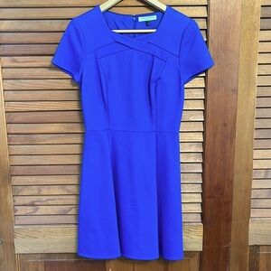 Halston Heritage Dress